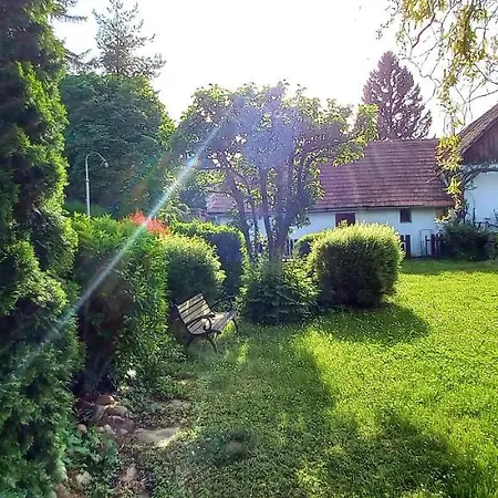 Casa de hóspedes Merlin 3*