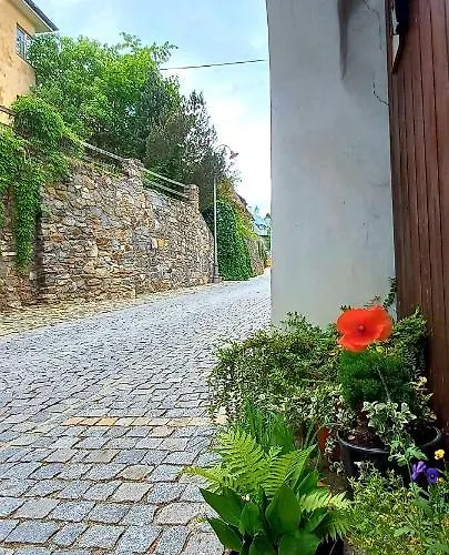 Merlin Casa de hóspedes