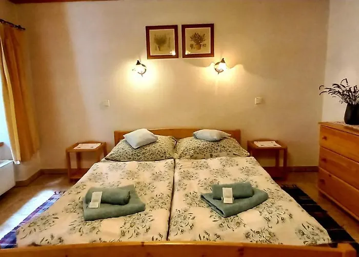 Casa de hóspedes Merlin